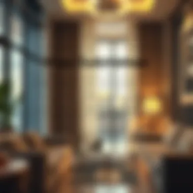 Graphic representation of visa outcomes and implications