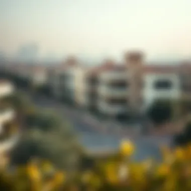 Scenic view of a popular neighborhood in Dubai