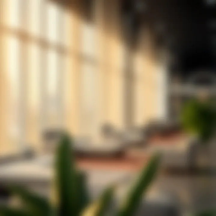 Rights of employees under the new regulations