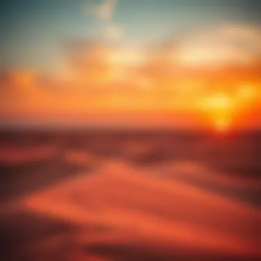 Desert landscape highlighted by a vibrant sunset