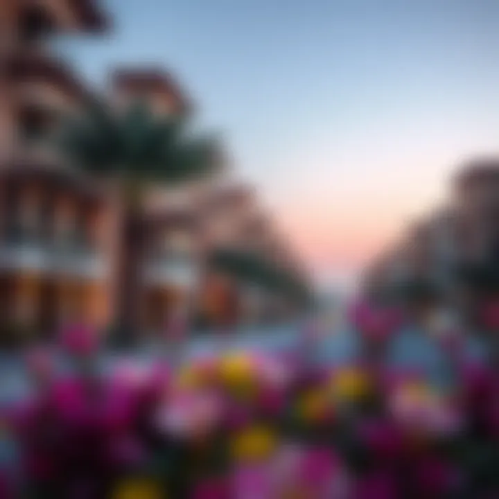 Presentation of property options in Al Barsha 1