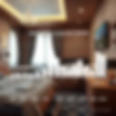 Infographic depicting the demographics of bed space renters in Al Karama