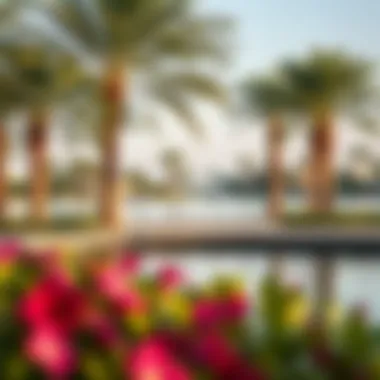 Amenities available at Al Nahda Pond Park