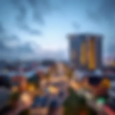 Vibrant Community Around Zabeel Emaar Address Panoramic view of the vibrant community surrounding Zabeel Emaar Address