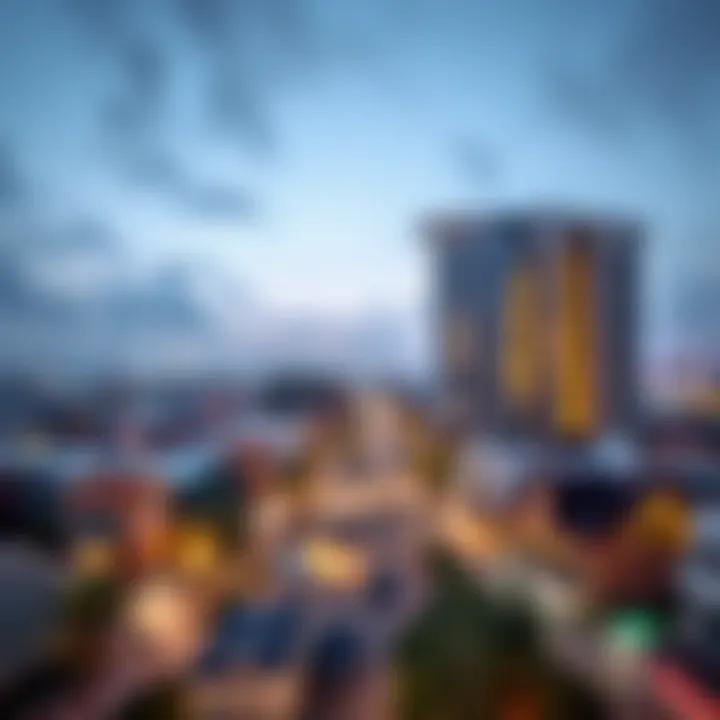 Vibrant Community Around Zabeel Emaar Address Panoramic view of the vibrant community surrounding Zabeel Emaar Address